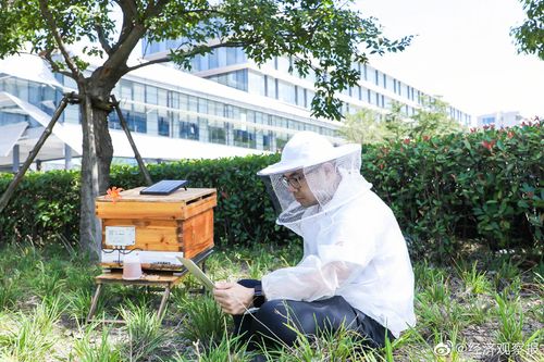 阿里巴巴程序员研发出人工智能产品"ai蜂巢管家",通过声音识别技术可
